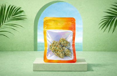 3.5G (Pack of 4)