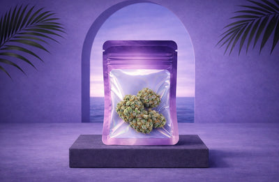 7G Pack