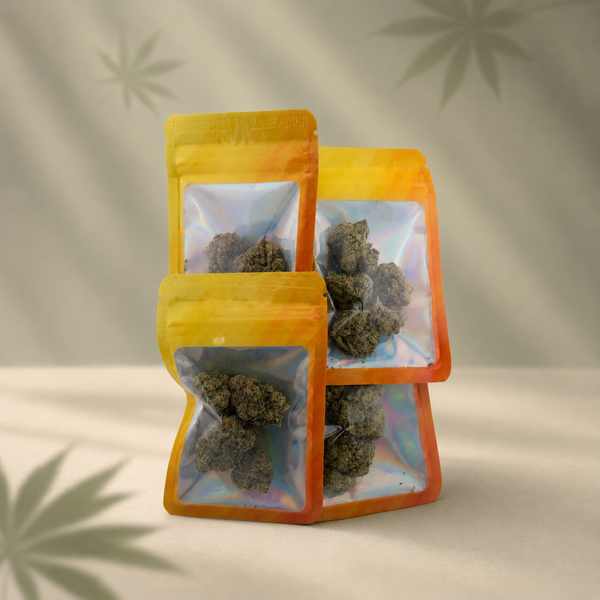 Sativa